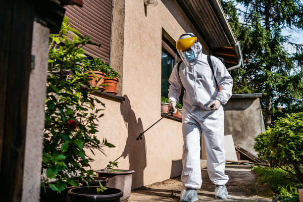 Best Affordable Pest Control Services  in Blackhawk, CA