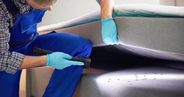 Reliable Blackhawk, CA Pest Control Solutions