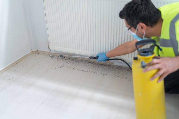 Best Pest Control for Businesses  in Blackhawk, CA