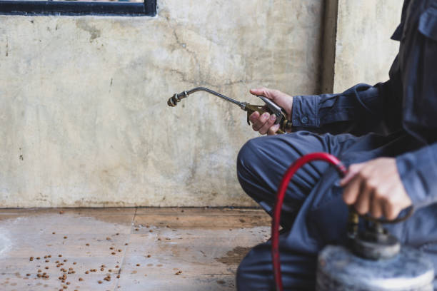 Best Best Pest Control Companies  in Blackhawk, CA